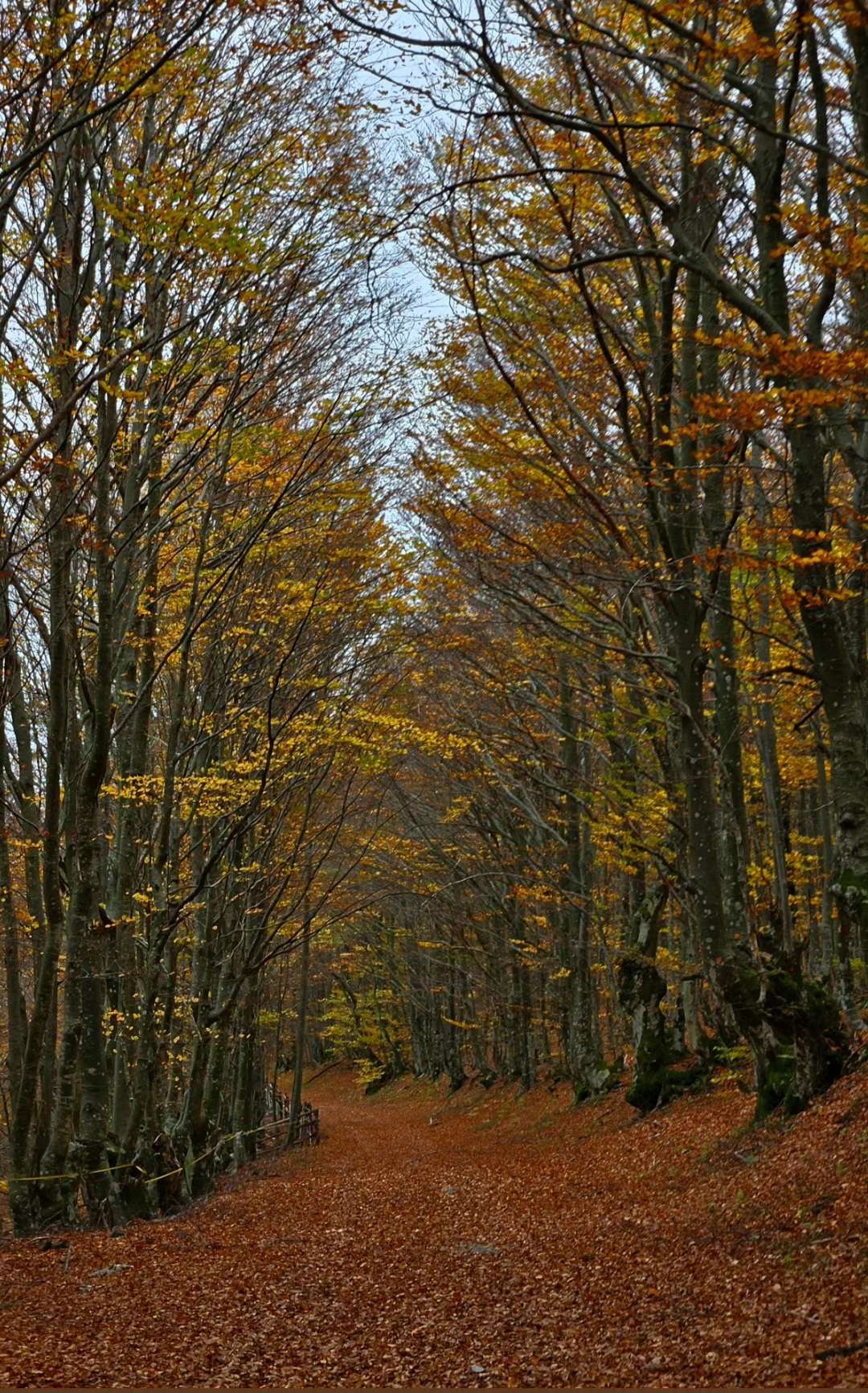 Otvorene prijave za foto natječaj „Volim svoju županiju“ - 